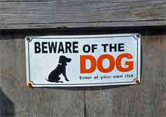 Actually the dog in the picture looks quite friendly, but I didn't take any risks while in Aylesbury Road.